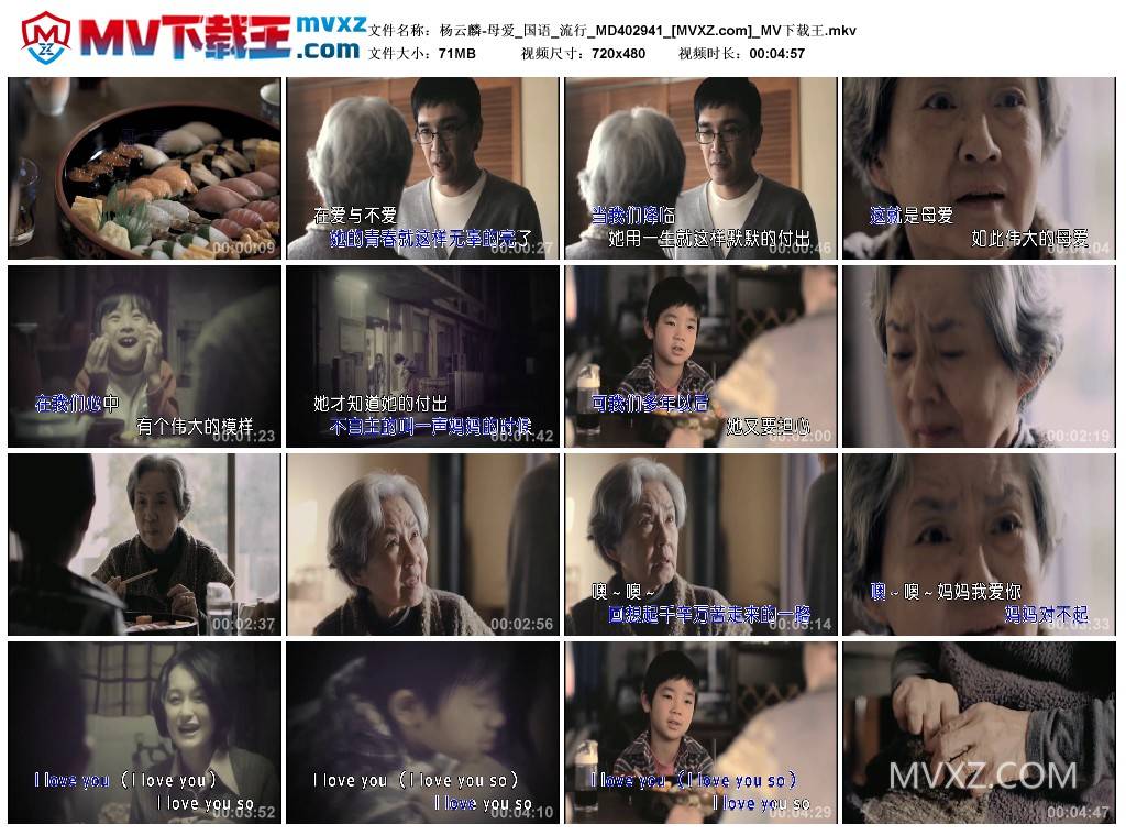 杨云麟-母爱_国语_流行_MD402941